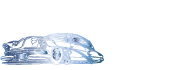 Saticoy Auto Body & Painting